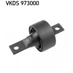 SKF Achskörper